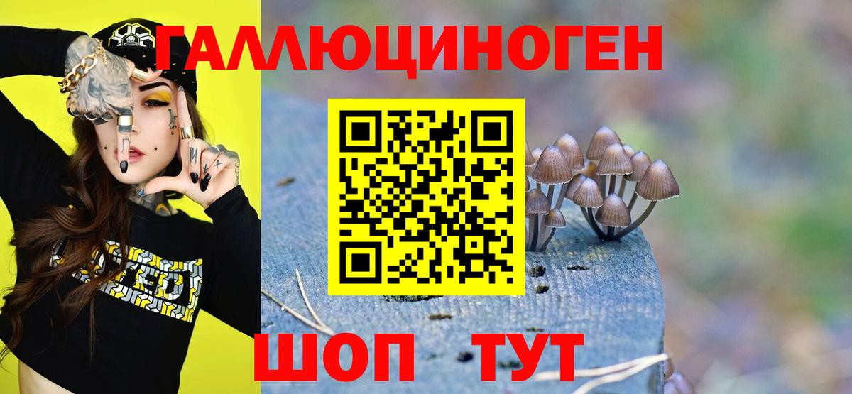 Галлюциногенные грибы GOLDEN TEACHER Кумертау