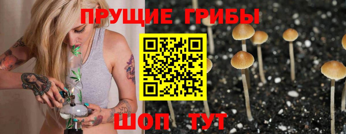 Кумертау  Псилоцибиновые грибы ЛСД  продажа наркотиков  Вход с VPN 
